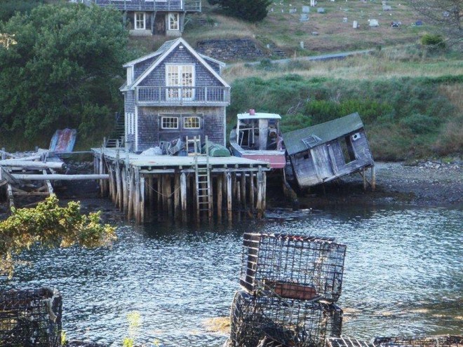 Definite improver, waterfront location © David and Heather Churcher